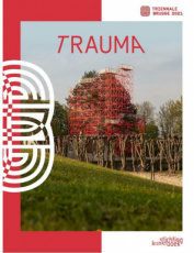 9789058566638 Triennale Brugge 2021 - Trauma