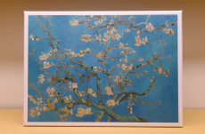 8716951359952 Puzzel (1000st) - Almond Blossom, Vincent Van Goh